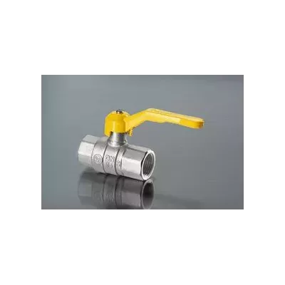 zdj1